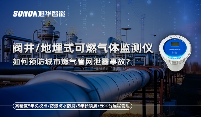 阀井/地埋式可燃气体监测仪